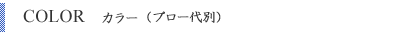 COLOR　カラー