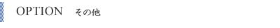 OPTION　その他