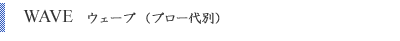 WAVE　ウェーブ